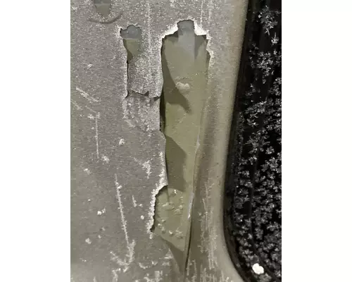 INTERNATIONAL Prostar Door Assembly, Front