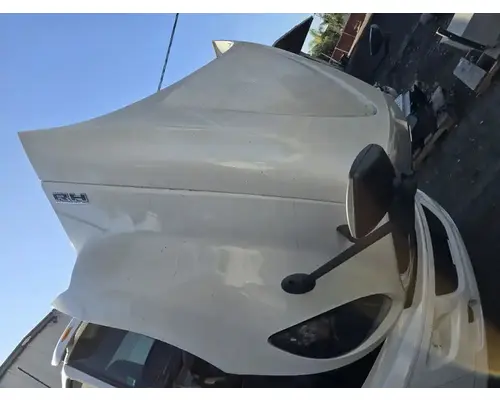 INTERNATIONAL RH613 Hood