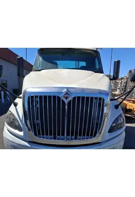 INTERNATIONAL RH613 Hood