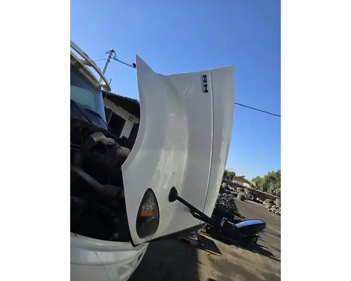 INTERNATIONAL RH613 Hood