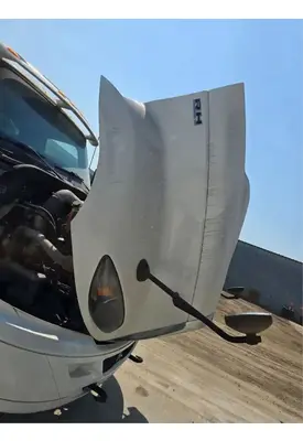 INTERNATIONAL RH613 Hood