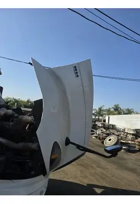 INTERNATIONAL RH613 Hood