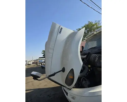 INTERNATIONAL RH613 Hood