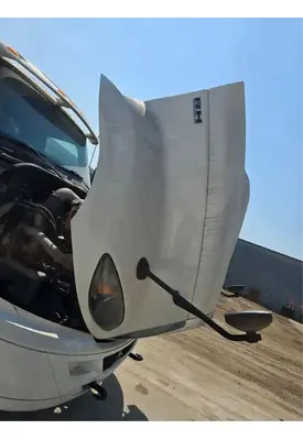 INTERNATIONAL RH613 Hood