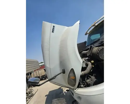INTERNATIONAL RH613 Hood