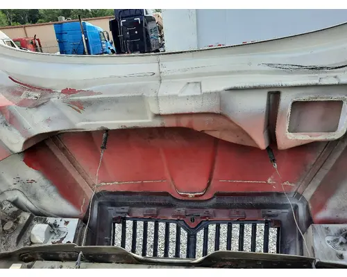 INTERNATIONAL TERRASTAR 2010-2016 HOOD