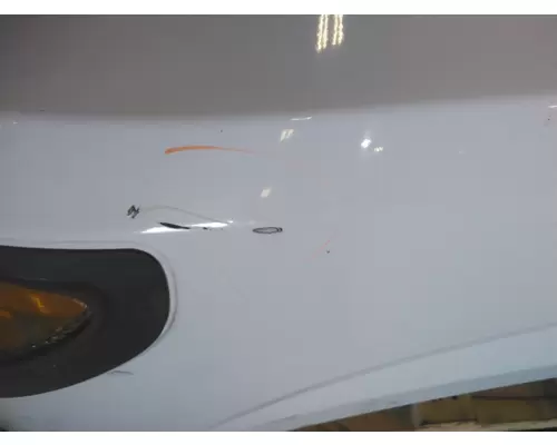 INTERNATIONAL TERRASTAR 2010-2016 HOOD
