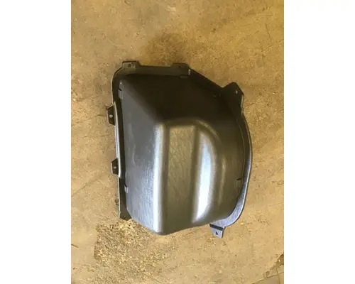 INTERNATIONAL TERRASTAR Door Panel (Trim)