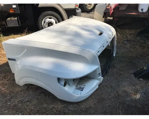 INTERNATIONAL TERRASTAR Hood