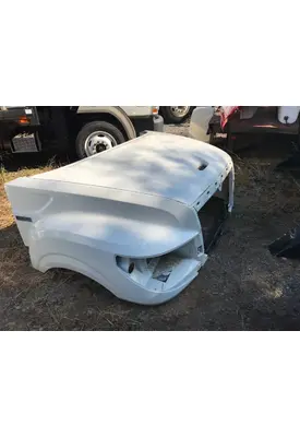 INTERNATIONAL TERRASTAR Hood