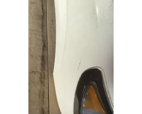 INTERNATIONAL TERRASTAR Hood