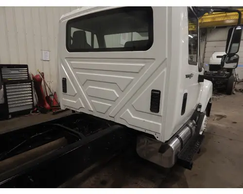 INTERNATIONAL TerraStar Door Panel (Trim)