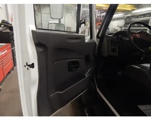 INTERNATIONAL TerraStar Door Panel (Trim)