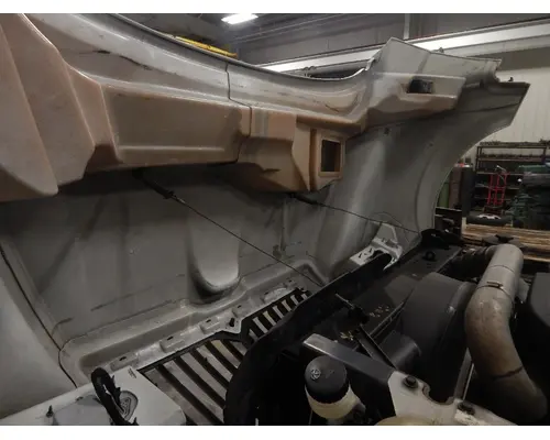 INTERNATIONAL TerraStar Door Panel (Trim)