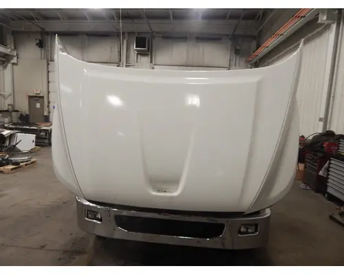 INTERNATIONAL TerraStar Door Panel (Trim)