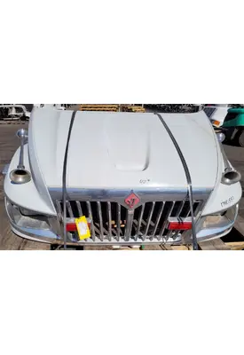 INTERNATIONAL TerraStar Hood