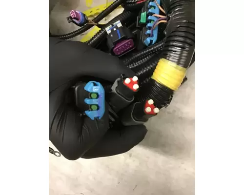 INTERNATIONAL UNKNOWN Engine Wiring Harness