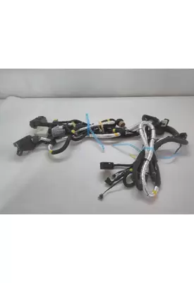 INTERNATIONAL UNKNOWN WIRING HARNESS, ENGINE