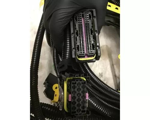 INTERNATIONAL UNKNOWN WIRING HARNESS, ENGINE