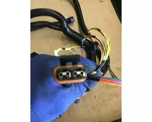 INTERNATIONAL UNKNOWN WIRING HARNESS, ENGINE