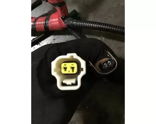 INTERNATIONAL UNKNOWN WIRING HARNESS, ENGINE