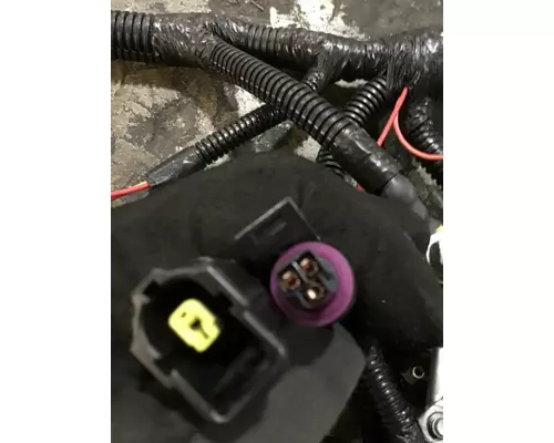 INTERNATIONAL UNKNOWN WIRING HARNESS, ENGINE