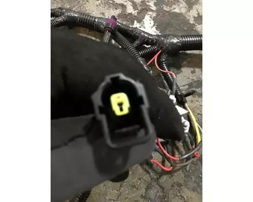 INTERNATIONAL UNKNOWN WIRING HARNESS, ENGINE