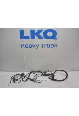 INTERNATIONAL UNKNOWN WIRING HARNESS, ENGINE