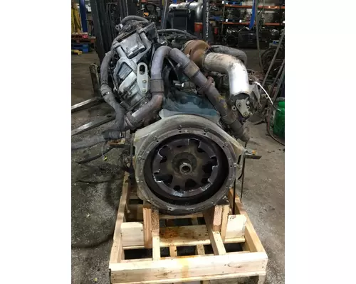 INTERNATIONAL VT365 Engine Assembly