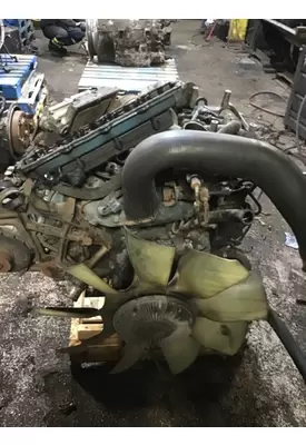 INTERNATIONAL VT365 Engine Assembly