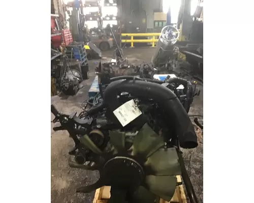 INTERNATIONAL VT365 Engine Assembly