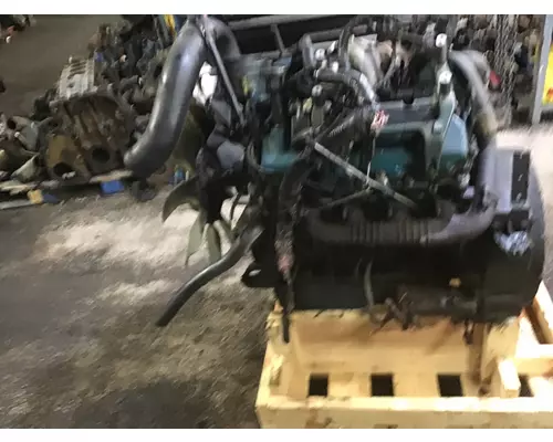 INTERNATIONAL VT365 Engine Assembly