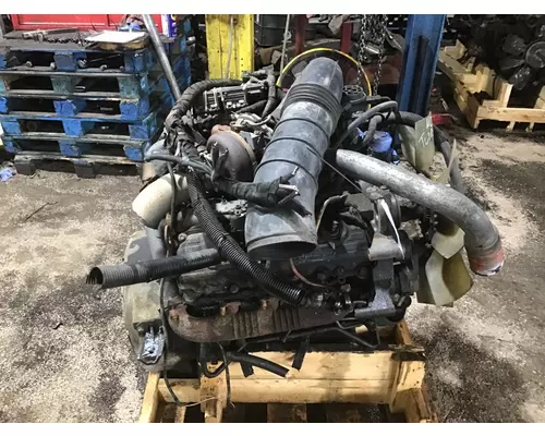 INTERNATIONAL VT365 Engine Assembly