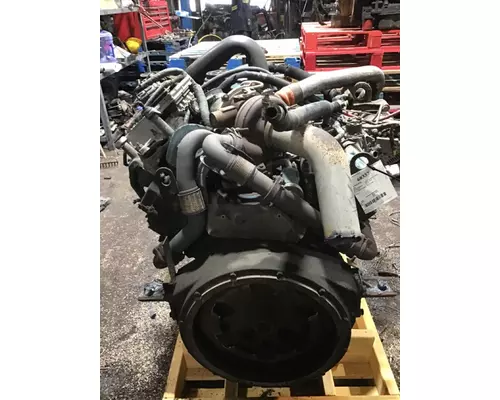 INTERNATIONAL VT365 Engine Assembly