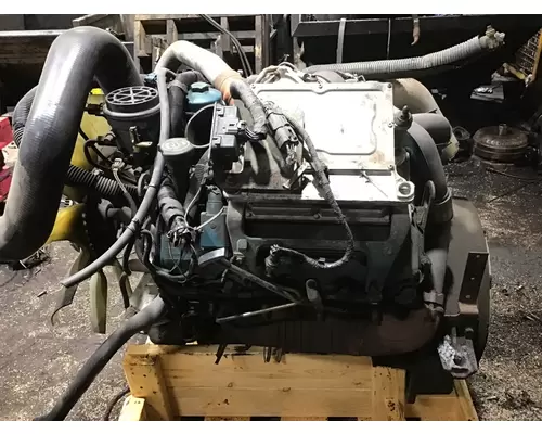 INTERNATIONAL VT365 Engine Assembly