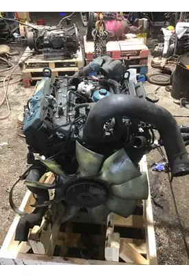 INTERNATIONAL VT365 Engine Assembly