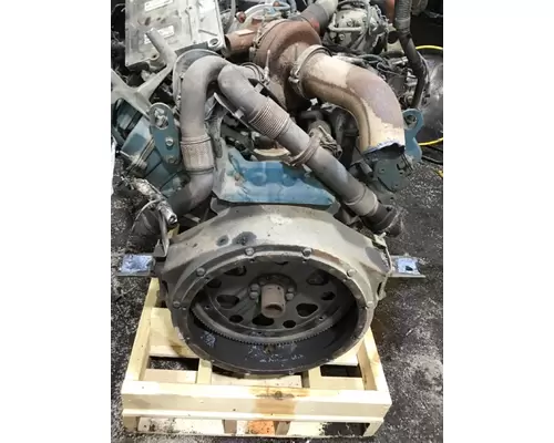 INTERNATIONAL VT365 Engine Assembly