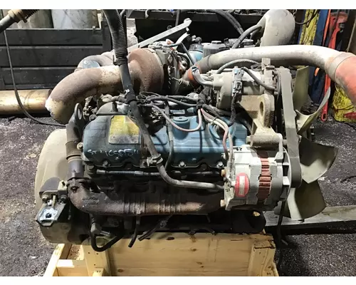 INTERNATIONAL VT365 Engine Assembly