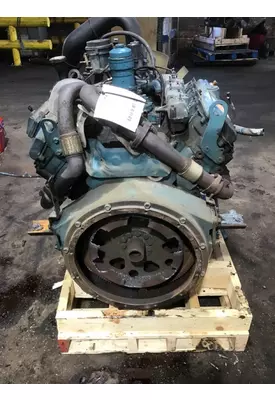 INTERNATIONAL VT365 Engine Assembly