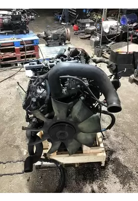 INTERNATIONAL VT365 Engine Assembly