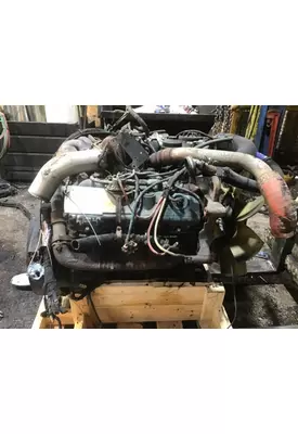 INTERNATIONAL VT365 Engine Assembly