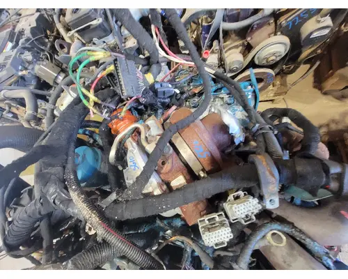 INTERNATIONAL VT365 Engine Assembly