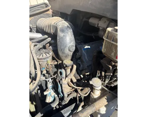 INTERNATIONAL VT365 Engine Assembly