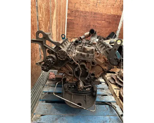 INTERNATIONAL VT365 Engine Assembly