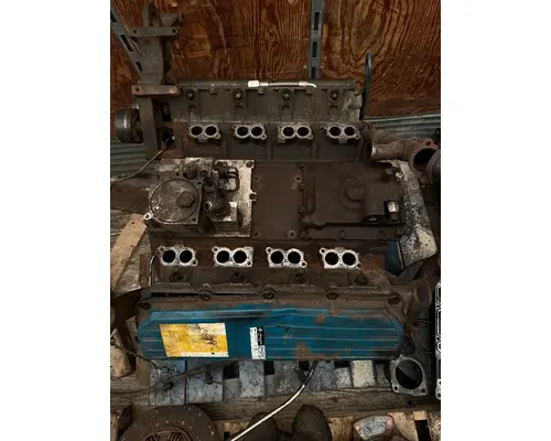 INTERNATIONAL VT365 Engine Assembly