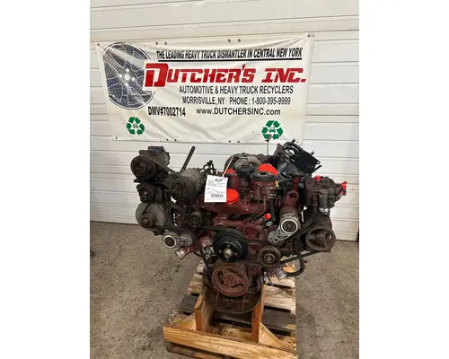 INTERNATIONAL VT365 Engine Assembly