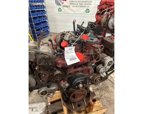INTERNATIONAL VT365 Engine Assembly