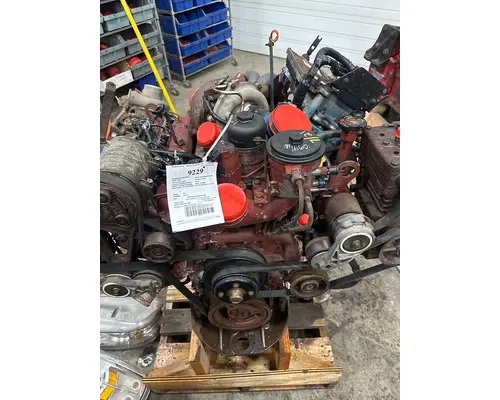 INTERNATIONAL VT365 Engine Assembly