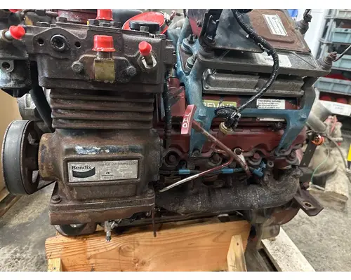 INTERNATIONAL VT365 Engine Assembly