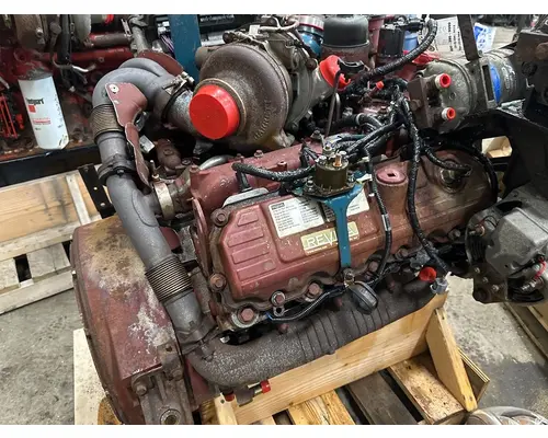 INTERNATIONAL VT365 Engine Assembly